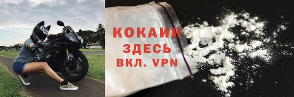 ешки Вяземский