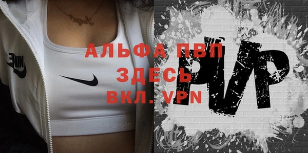 ешки Вяземский