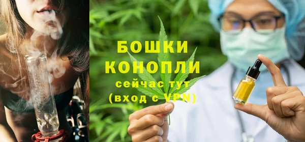 ешки Вяземский