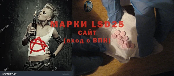 ешки Вяземский